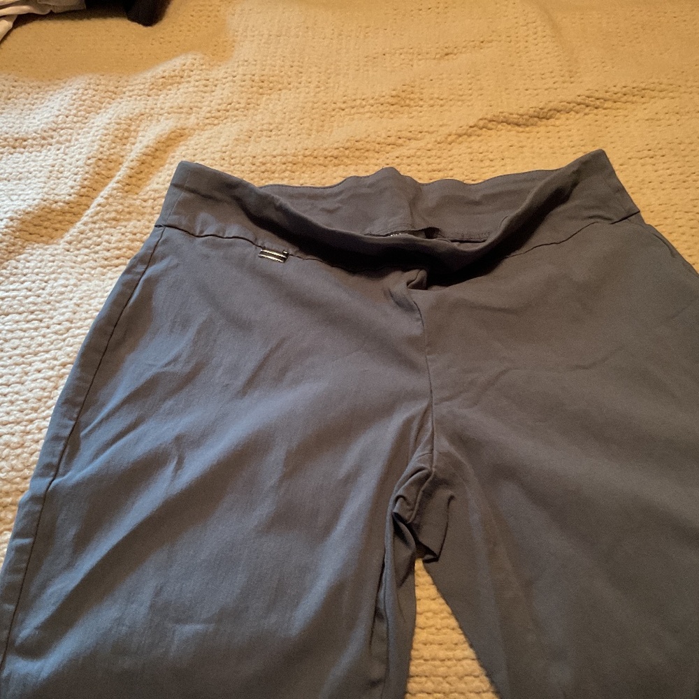 Alfani pants